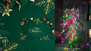 Araucaria plant careChristmas Tree Decorate with Me christmas christmastree christmasdecor [upl. by Joellen582]