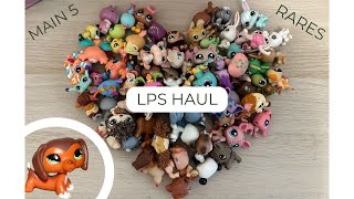 100 PET AND ACCESSORIES LITTLEST PET SHOP LPS LOT HAUL  MAIN 5 AND RARES [upl. by Earesed]