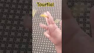 Double charge reverse trick penspinning shortvideo [upl. by Loralee]