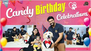 Candy Birthday Celebrations  Keerthi Jai Dhanush  Strikers [upl. by Anirbed]