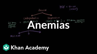 Microcytic normocytic and macrocytic anemias  NCLEXRN  Khan Academy [upl. by Dalenna]