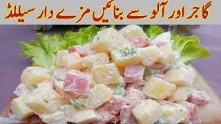 Potato Salad Recipe  Veg Salad  Russian Salad [upl. by Roice950]