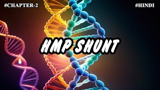 Chapter 2  Metabolism Of Carbohydrates Part11  HMP Shunt [upl. by Maud432]