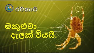 මකුළුවා දැලක් වියයි l makuluwa dalak wiyai l රචනා l rachana l sinhala l spider Web Build essay [upl. by How]