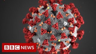 Coronavirus v Influenza How do the two viruses compare  BBC News [upl. by Hsitirb]