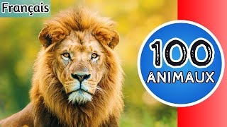 100 Animaux Relaxants  Noms et Sons à Découvrir pour Enfants  🐾 [upl. by Tutt]