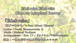 🌟Edelweissエーデルワイス演奏 Humanite 編曲 Phydrosamir [upl. by Beaston986]