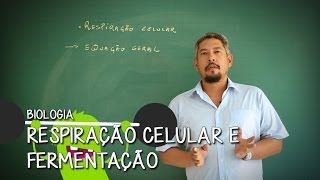 O que é Mitocôndria  Extensivo Biologia  Descomplica [upl. by Dole486]