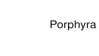 How to pronounce Porphyra [upl. by Eciened662]