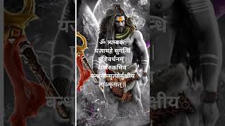 Maha Mrityunjaya Mantra with Lyrics [upl. by Macguiness23]