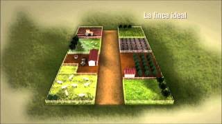 Plan Finca [upl. by Lacram991]