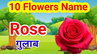 Flowers Name  Flowers Name English and Hindi  phoolon ke naam  फूलों के नाम  10 Flowers Name [upl. by Atiuqihs]