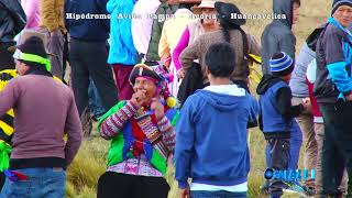 CARRERA DE CABALLO 2017 EN HIPODROMO AVIÓN PAMPA  ACORIA [upl. by Andy]