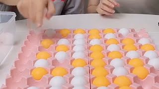 Have you ever seen playing Gomoku with ping pong balls using an egg carton Should I go easy on them [upl. by Atterahs]