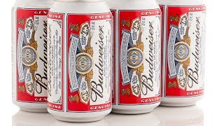 The Real Reason Budweiser Is Bombing [upl. by Pfeifer153]