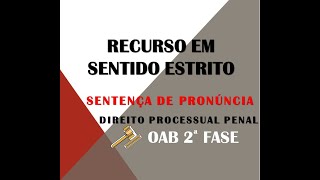 Recurso em Sentido Estrito modelo prático  Sentença de Pronúncia [upl. by Neibaf857]