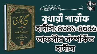 তাফসীর সম্পর্কিত হাদিস Hadis 4341 4356 Bukhari SharifBangla Hadisবাংলা হাদিসবুখারী শারীফ [upl. by Dolora299]