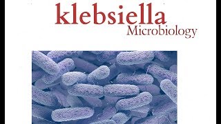 Klebsiella  Microbiology  K pneumonia  Bacteria [upl. by Treve367]