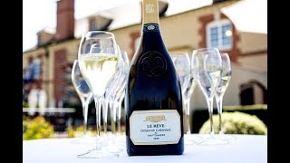 Domaine Carneros Le Rêve  Wine Review [upl. by Unhsiv]