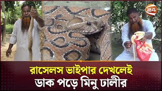 বিষধর রাসেলস ভাইপার ধরাই এখন নেশা মিনু ঢালীর  Russells Viper  Shariatpur  Channel 24 [upl. by Leahcimnaes]