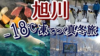 旭川（北海道）ひとり旅。極寒の都市を初体験！旭山動物園、ラーメン、ジンギスカンなどグルメも堪能。そして絶景の初すべり！ [upl. by Goren]