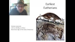 Episode 4 When did Marsupial and Placental Mammals split [upl. by Cutlerr476]