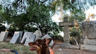 Chihuahua Ghost Hunt El Campo Santo Cemetery Whaley House amp MissionHills Park  halloween [upl. by Aitam942]