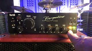 Is this the BEST Bass Guitar amp EVER [upl. by Hamian132]