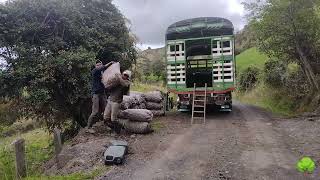 RECORRIENDO EL COCUY BOYACÁ [upl. by Jez]