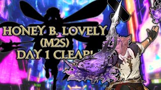 My Day 1 Clear  RDM PoV  AAC LightHeavyweight M2 Savage Honey B Lovely [upl. by Shanie745]