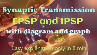 Synaptic transmission1 EPSP and IPSP with diagram and Graph आसान तरीके से [upl. by Dragelin]