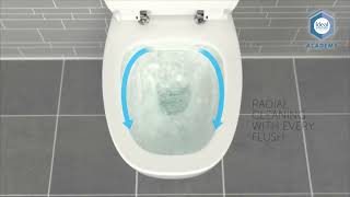 Ideal Standards Rimless Toilets [upl. by Henning528]