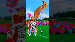 The mascot vibrato assistant placed on the football field is popular🦘😱 [upl. by Craggie]