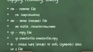 Basic Unix commands [upl. by Nerradal220]