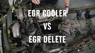 EGR Delete or EGR Cooler [upl. by Lenci773]