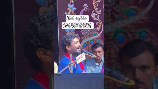 Haa rajbha ha 🔥🗿dayro music charnisahitya [upl. by Aihsirt]