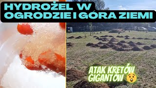 Hydrożel  Agrożel w Ogrodzie Pozbywamy się góry ziemi Na Działce odc108 [upl. by Bealle]