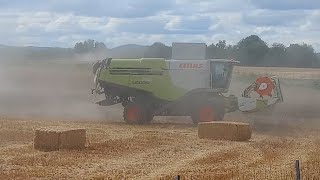 Claas Lexion 750 au Colza [upl. by Pius106]