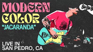 Modern Color  Jacaranda Live at The Sardine San Pedro CA 05062023 [upl. by Dugas]