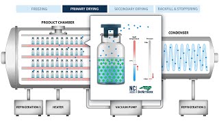 The Process of Freeze Drying Lyophilization [upl. by Hagi]