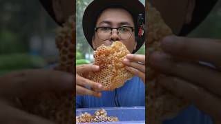 ASMR Eating Raw Honeycomb In The Forest 🐝 shorts [upl. by Persons856]