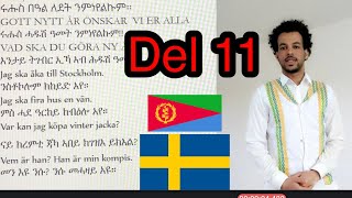 Svenska och tigrinja del11 20210203 [upl. by Priestley437]