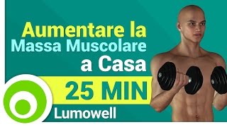 Esercizi da Fare a Casa per Aumentare la Massa Muscolare  Allenamento Completo [upl. by Aicetal]