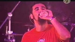 System of a Down  Live at Lowlands  Holland 2001 [upl. by Eveneg]