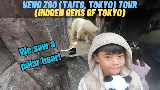 Exploring Ueno Zoo A Day in Taito Tokyos Wildlife Wonderland [upl. by Sadnac640]