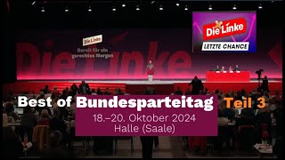 Parteitag des Grauens  Die Linke Teil 3 [upl. by Nosyk372]