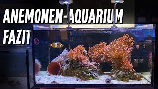 Fazit zum ANEMONENAQUARIUM  PlanktonPlus Aquaristik [upl. by Annirak]