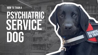 How to Train a Psychiatric Service Dog [upl. by Hafinah]