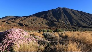 Parque Nacional del Teide Tenerife  España [upl. by Nuahsed]