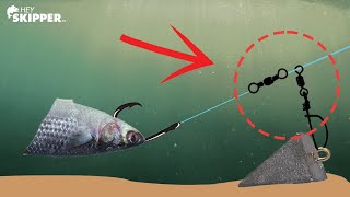 Beach Fishing Try THIS to Catch BIGGER Fish Fish Finder Rig Tutorial [upl. by Picardi446]